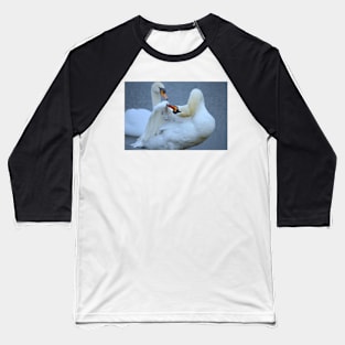 Swan Preening Baseball T-Shirt